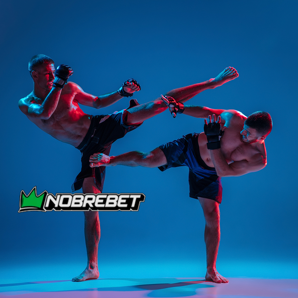 Aprenda como apostar em artes marciais